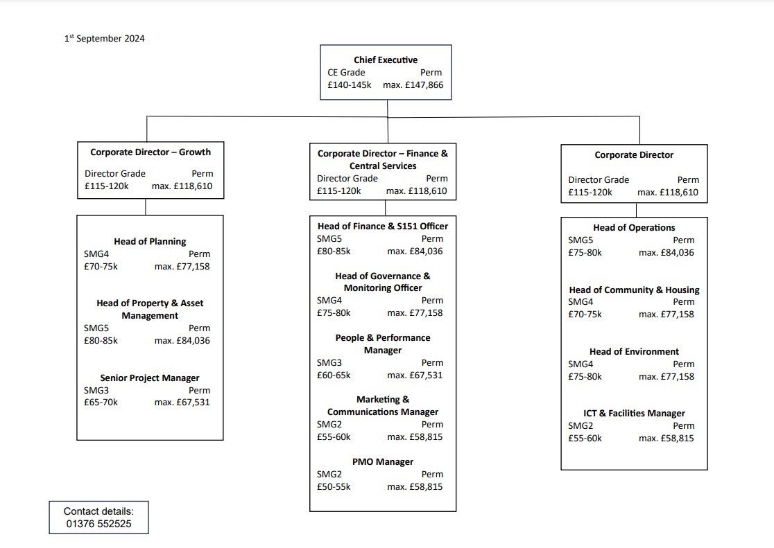 Decorative thumbnail image for Organisational structure chart